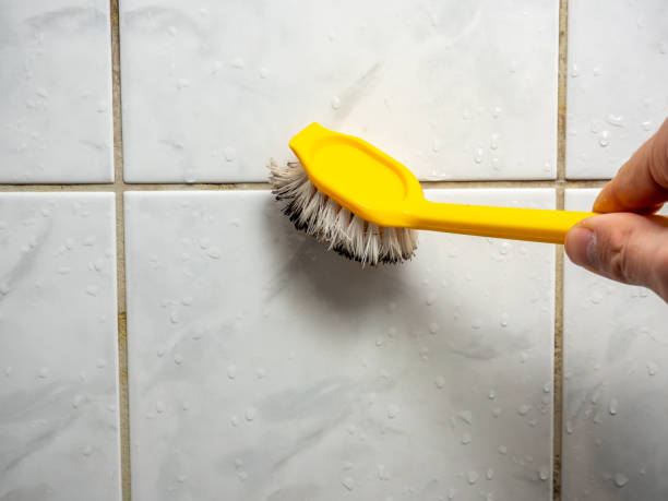 Best Professional Mold Removal  in Crane, MO