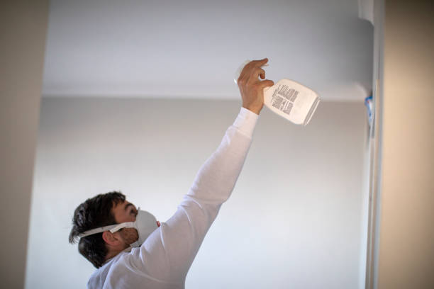 Best Mold Damage Repair  in Crane, MO