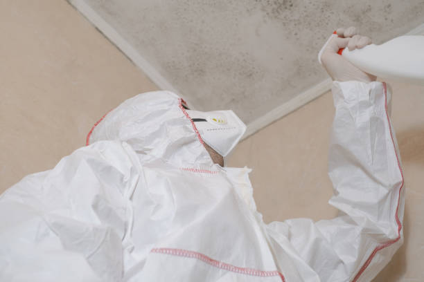 Best Office Mold Removal Services  in Crane, MO
