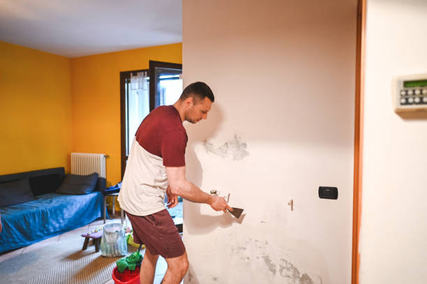 Trusted Crane, MO Mold Removal Experts