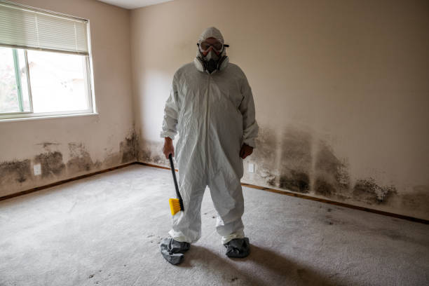Best Mold Removal and Inspection  in Crane, MO